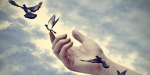 let-go-816x428-630x315